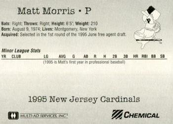 1995 Multi-Ad New Jersey Cardinals #NNO Matt Morris Back