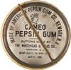 1896-98 Whitehead & Hoag/Cameo Pepsin Gum Pins (PE4) #NNO Pink Hawley Back