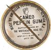1896-98 Whitehead & Hoag/Cameo Pepsin Gum Pins (PE4) #NNO Sam Dungan Back