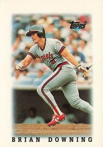 1988 Topps Major League Leaders Minis #5 Brian Downing Front
