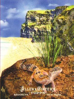2011 Topps Allen & Ginter - Ascent of Man #AOM12 Reptiles (Hylonomus) Front