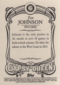 2014 Topps Gypsy Queen #234 Jim Johnson Back
