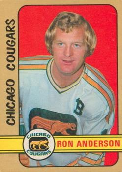 1972-73 O-Pee-Chee #298 Ron Anderson Front