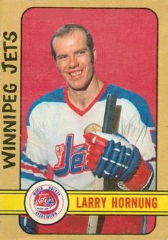 1972-73 O-Pee-Chee #317 Larry Hornung Front