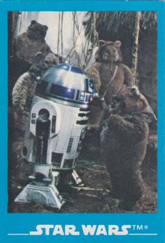 1984 Kellogg's Star Wars - Blue Border #7 Ewok Front