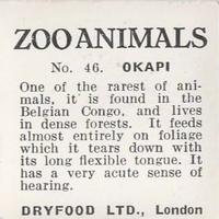 1955 Dryfood Zoo Animals #46 Okapi Back