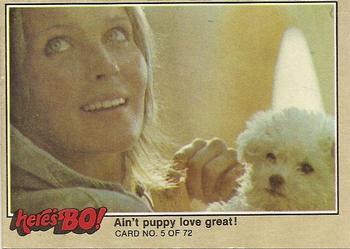 1981 Fleer Here's Bo! #5 Ain't puppy love great! Front
