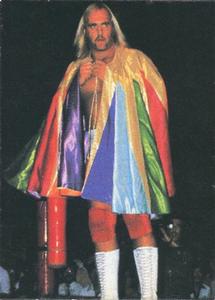 1981 Marusho Pro Wrestling Tiger Mask Mini #NNO Hulk Hogan Front