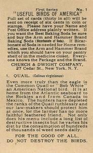 1915 Church & Dwight Useful Birds of America First Series (J5) #1 Quail Back