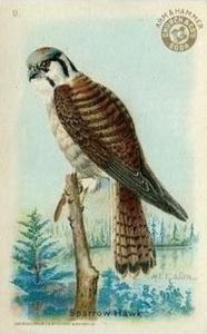 1915 Church & Dwight Useful Birds of America First Series (J5) #9 Sparrow Hawk Front
